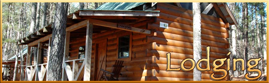 Bunk Cabin Lodging