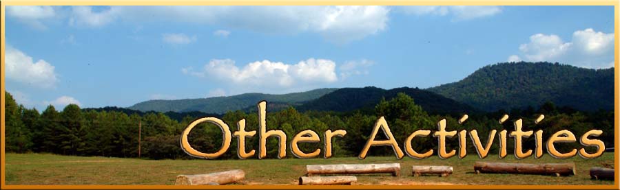 Other Activities
